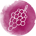 Viñas abiertas al turismo