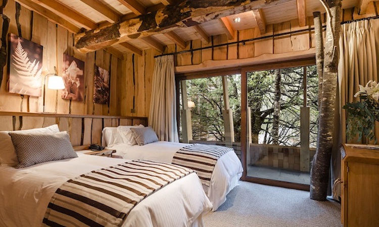 Habitación standard de Hotel Reino Fungi, Huilo-Huilo.