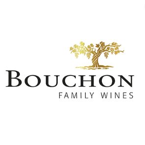 Logo-bouchon