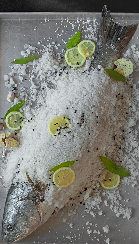 corvina-sal-web