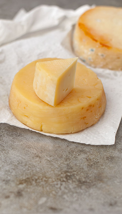 queso-maduro-web