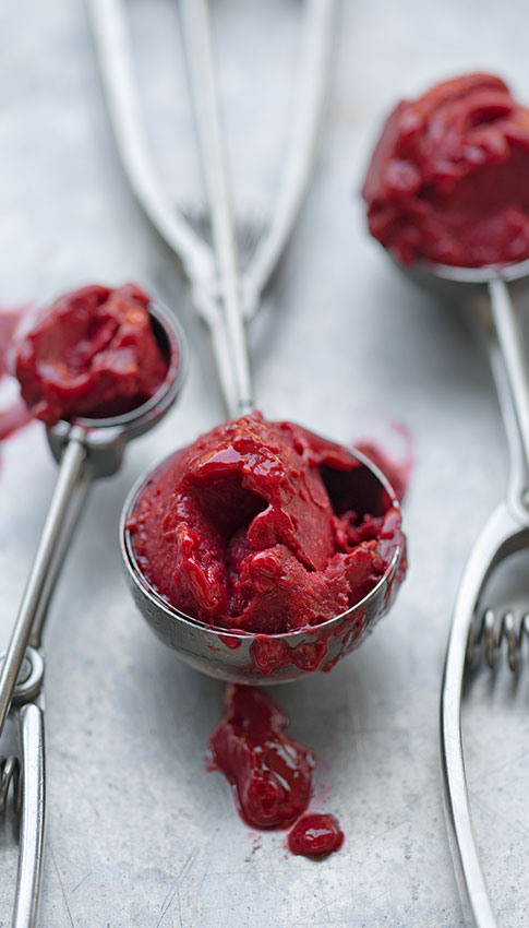 sorbet-berries-web