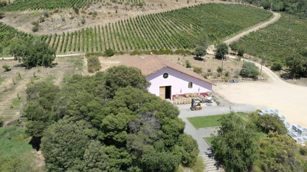 Viña Hacienda Araucano-François Lurton