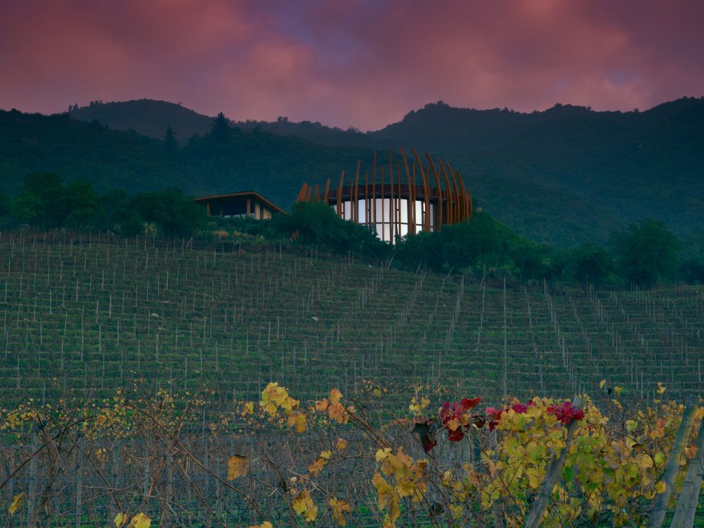 Clos Apalta