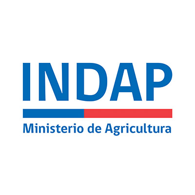 03-logo-indap.jpg
