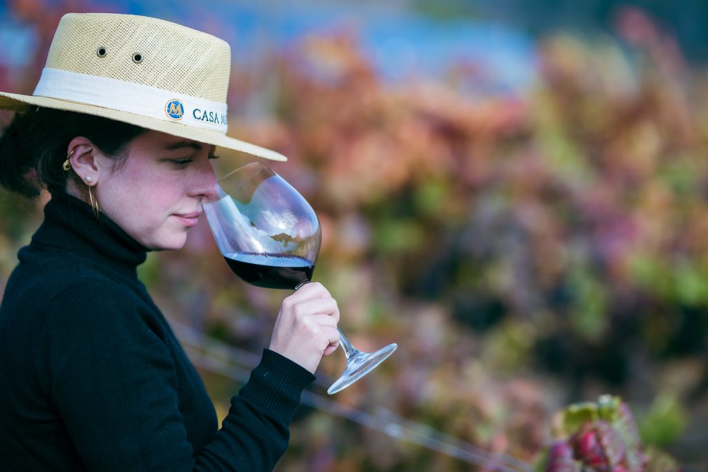 Blind Tasting Experience