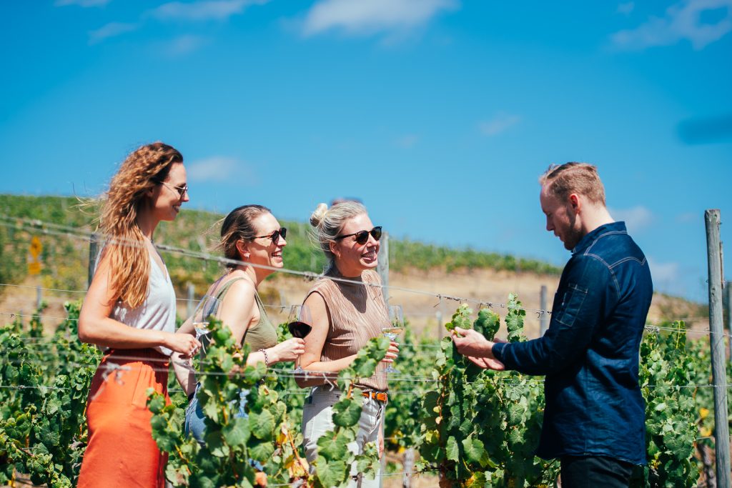 Tour & Tasting D.O Lo Abarca