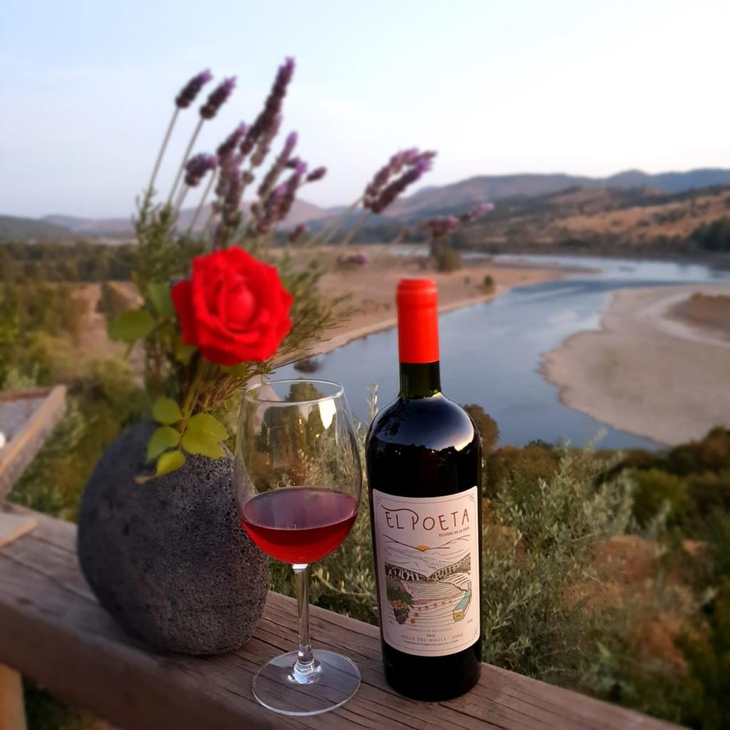 Cata de Vinos Artesanales Naturales