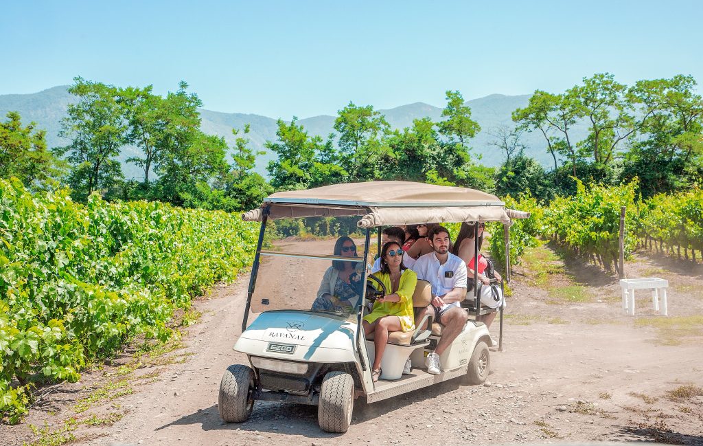Tour Viñedos Centenarios