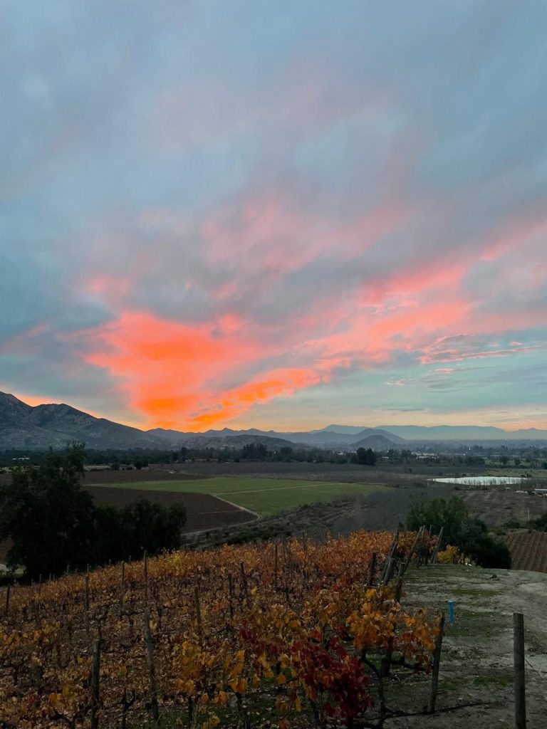 Tour Sunset