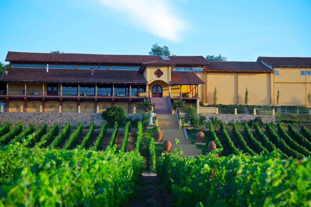 Tour Grandes Vinos