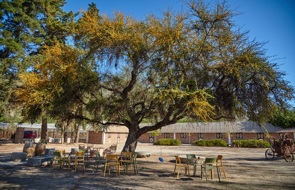 Picnic Campestre