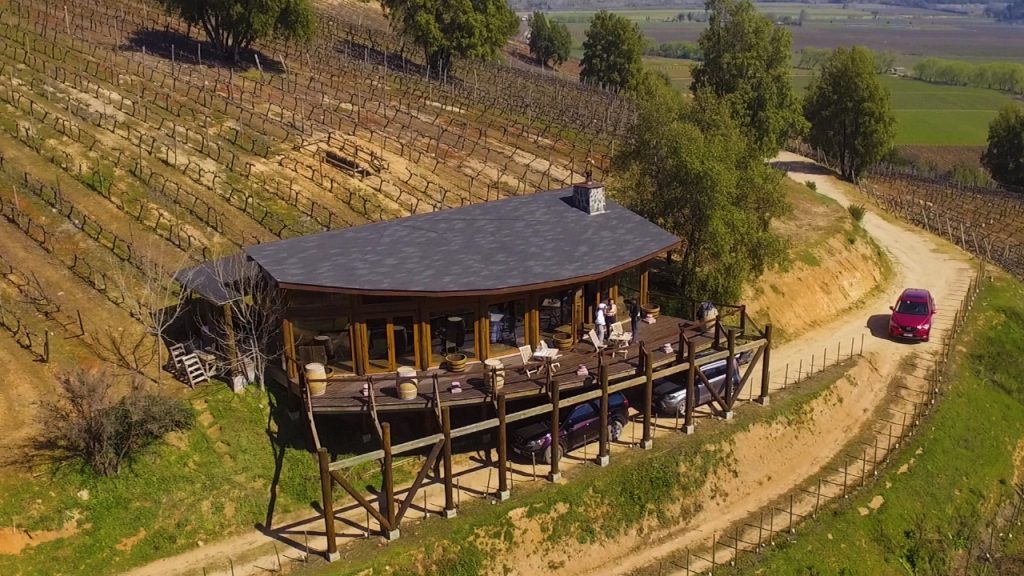 Tour Alta Gama Viñedo Roblería