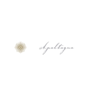 logo apaltagua