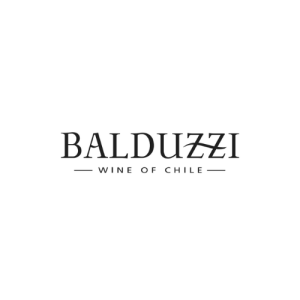 logo balduzzi