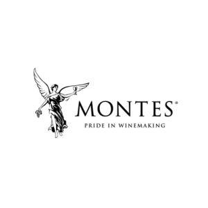 logo montes