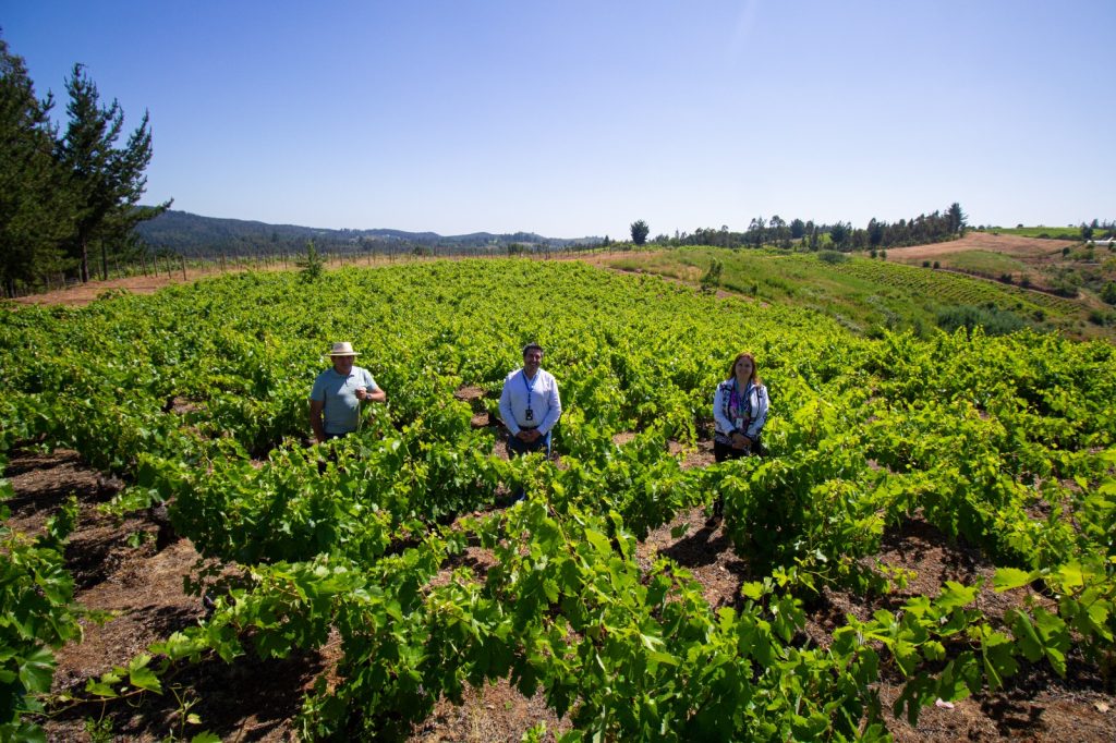 Conexión con la naturaleza y el vino