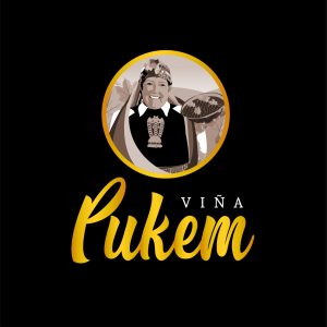 Logo viña pukem