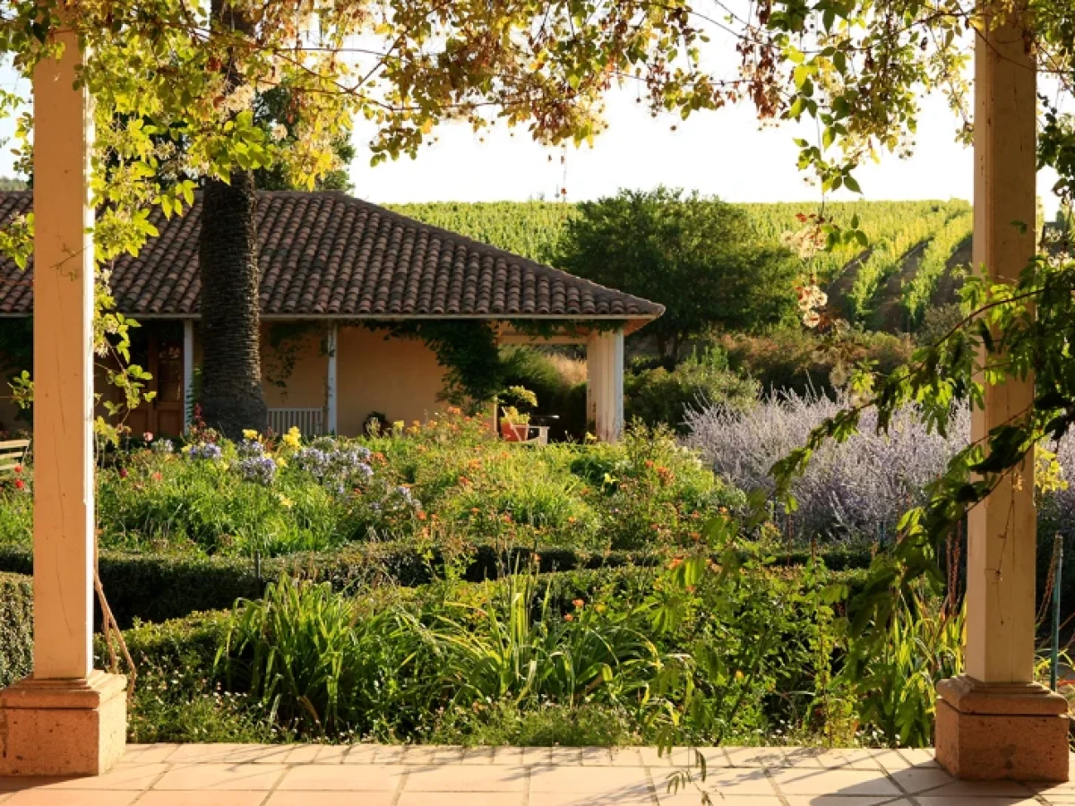 Viña Matetic, Valle de Casablanca