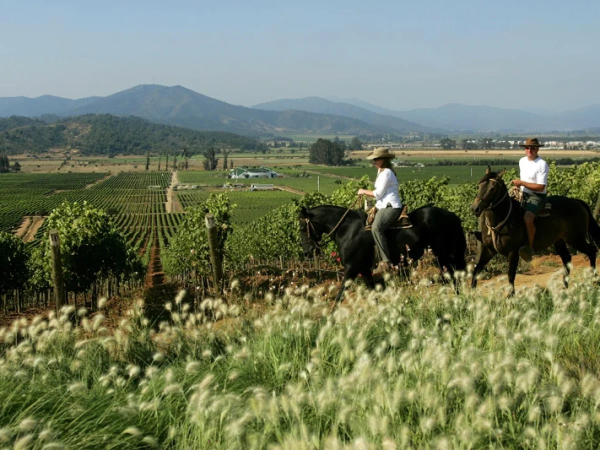 Enoturismo en el Valle de Casablanca
