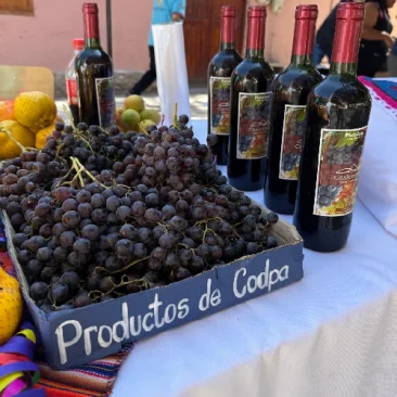 Valle-de-Codpa-000