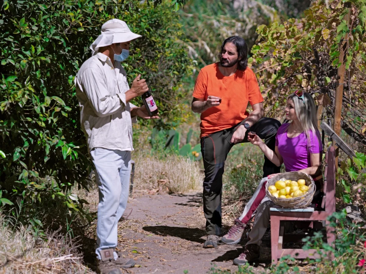 Camarones, Valle de Codpa