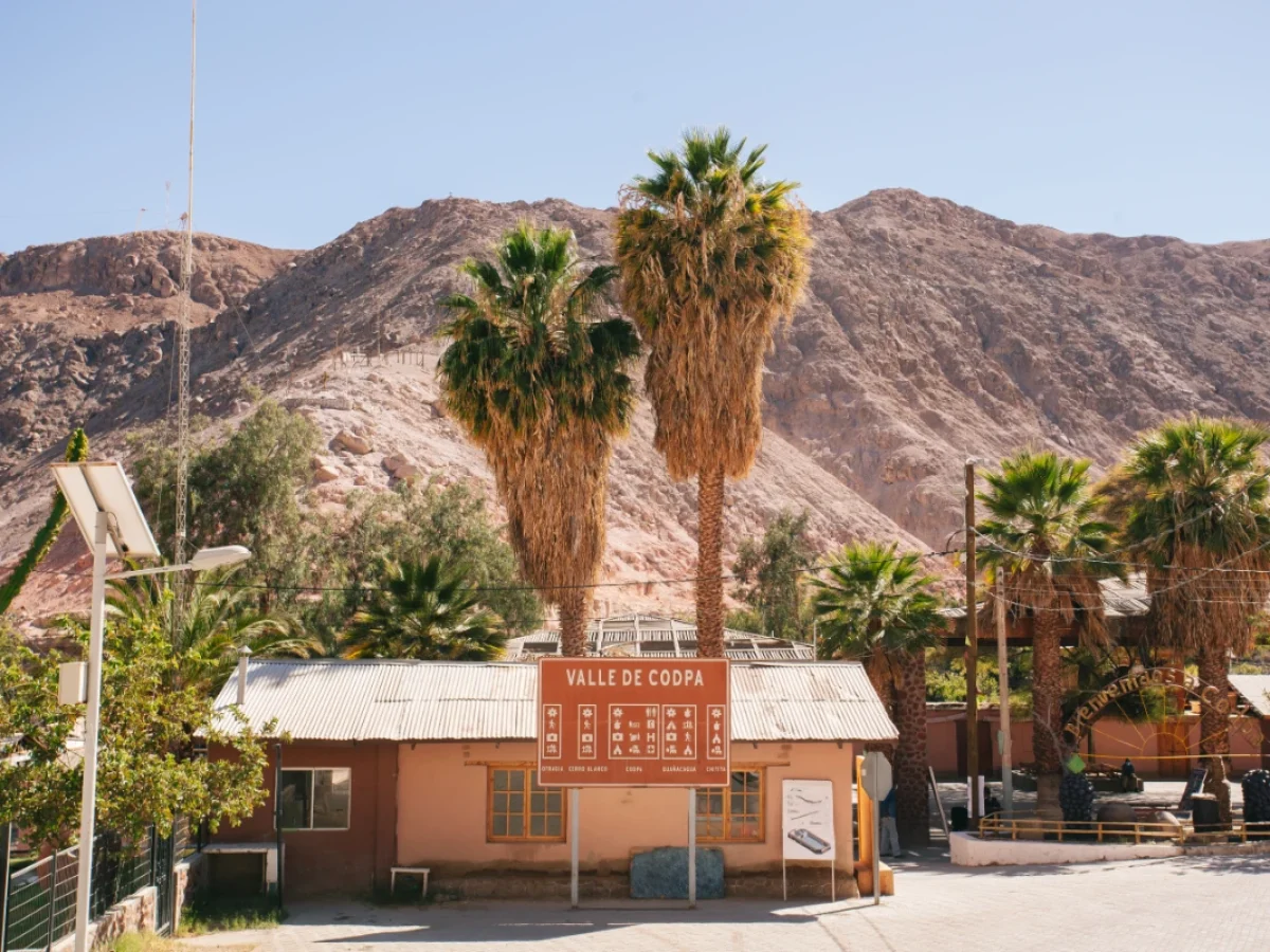 Camarones, Valle de Codpa