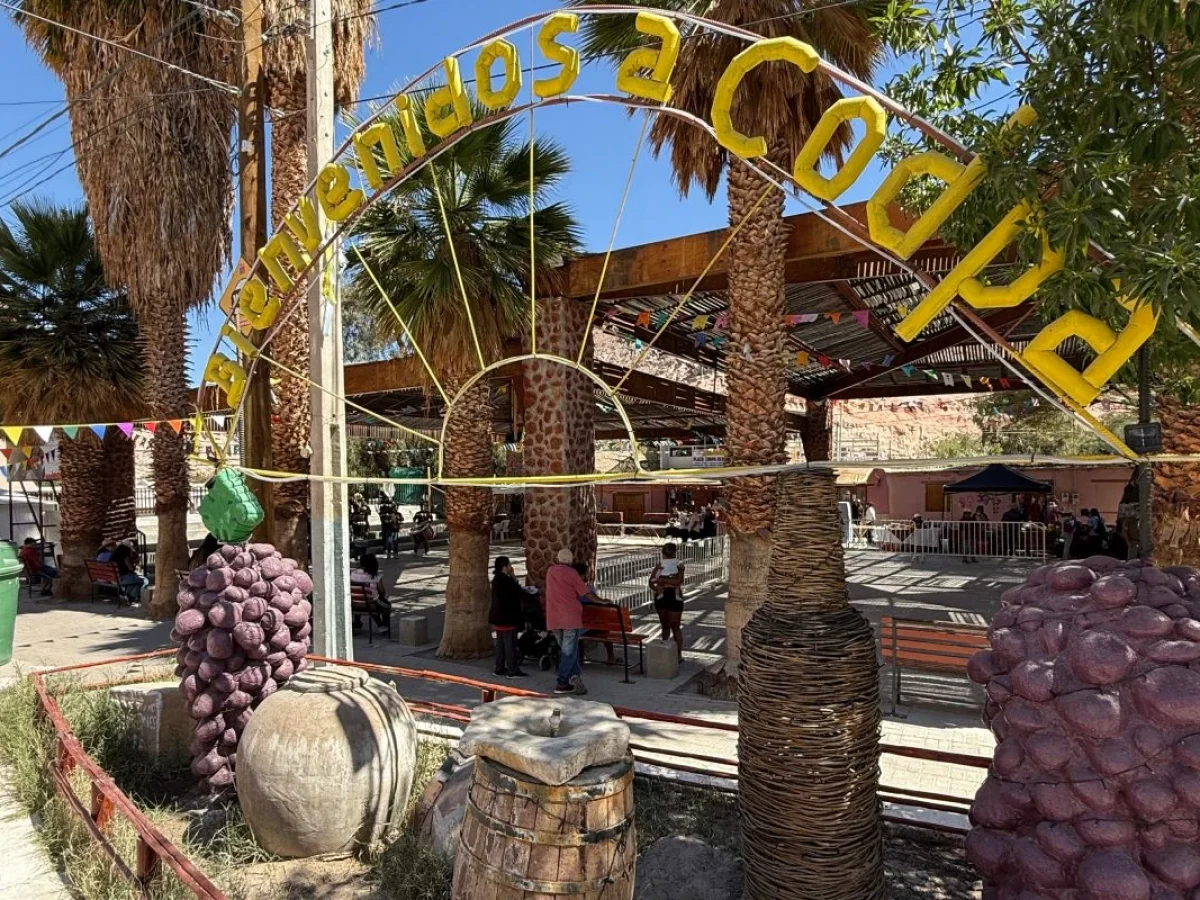 Valle de Codpa