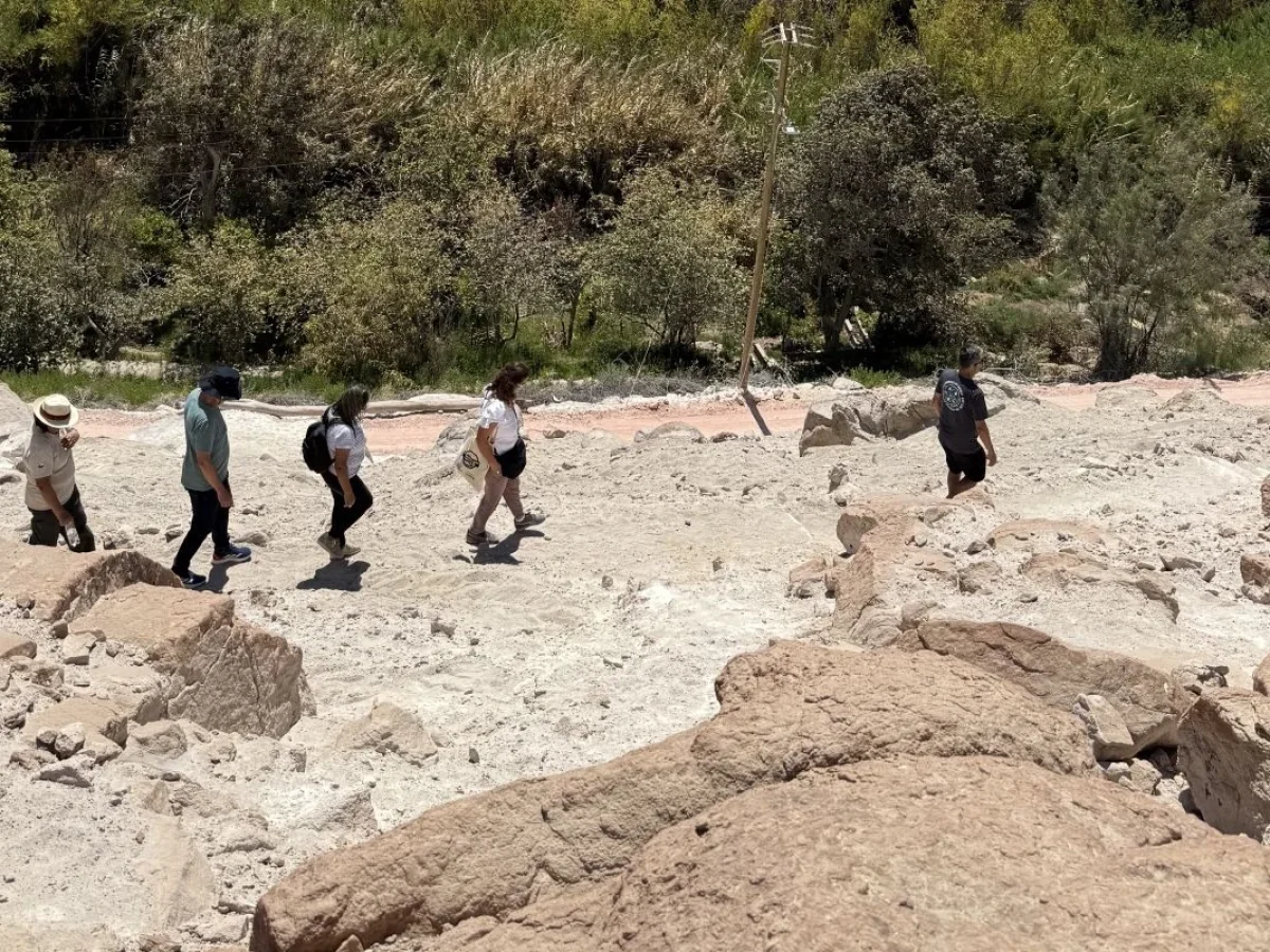 Valle de Codpa