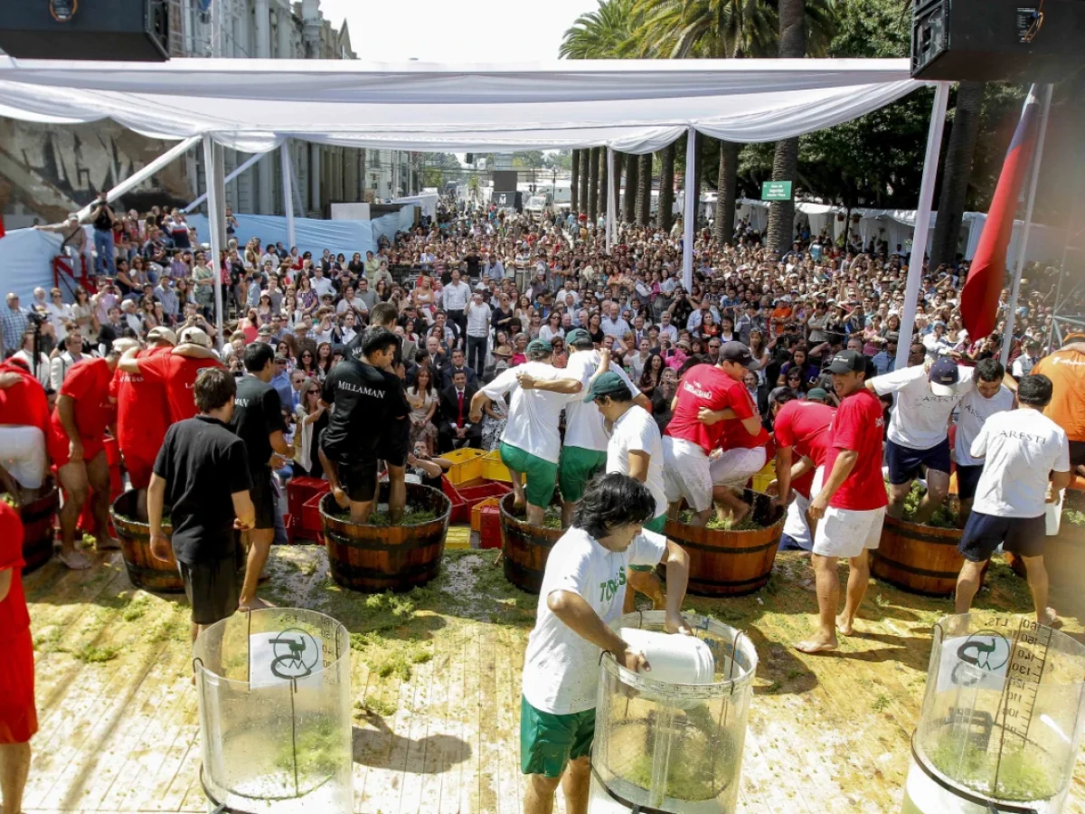 Fiesta de la Vendimia G. Viña Miguel Torres