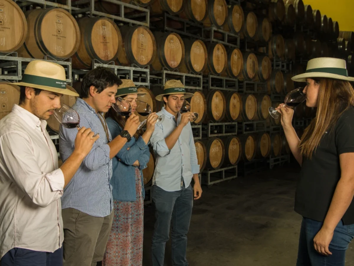 Tour en Viña Miguel Torres