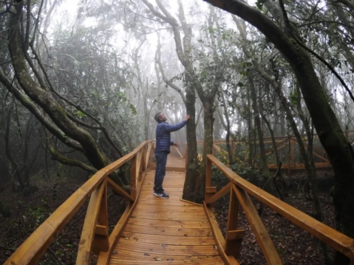 Parque Nacional Fray Jorge