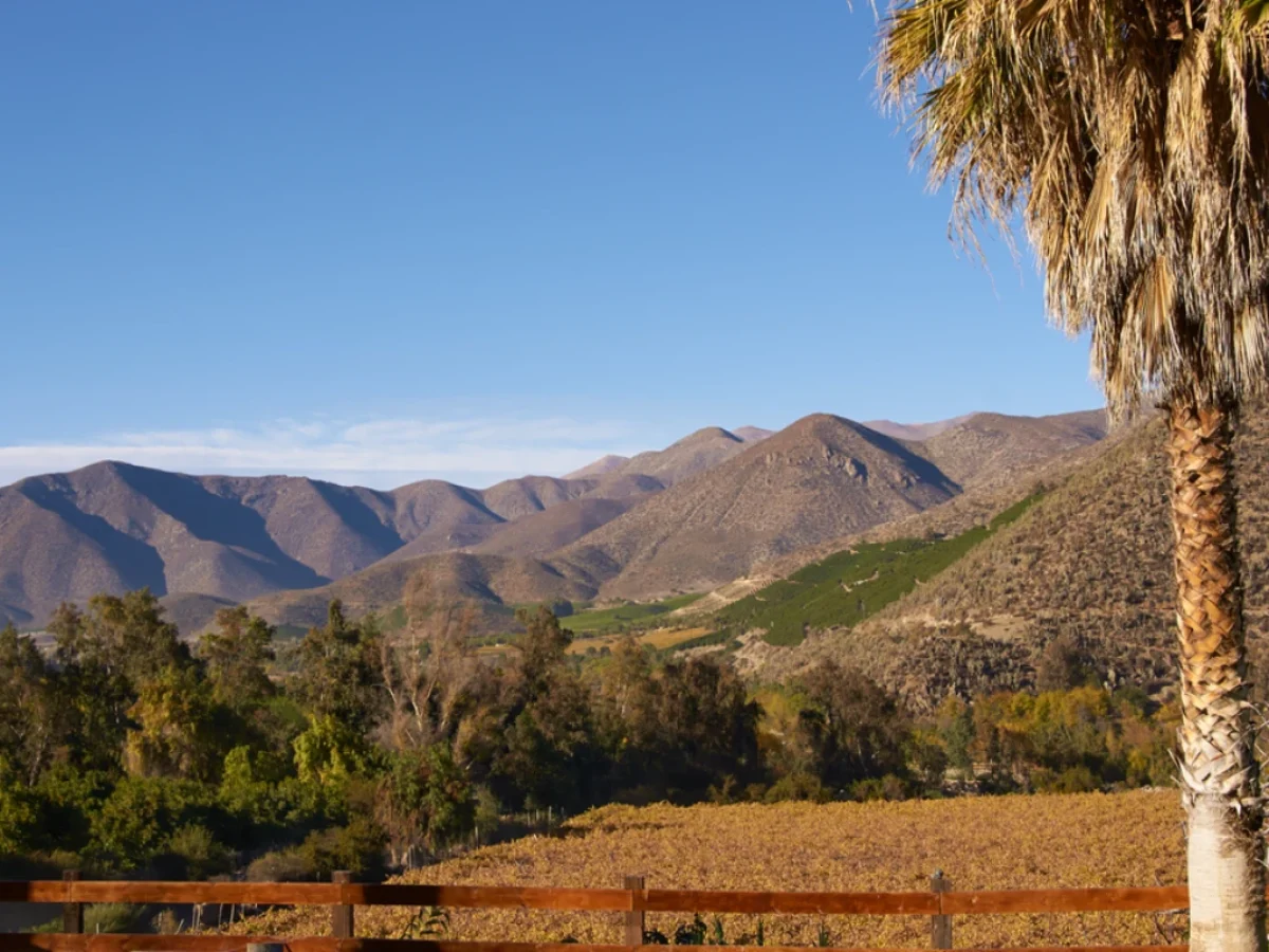 Valle del Limarí