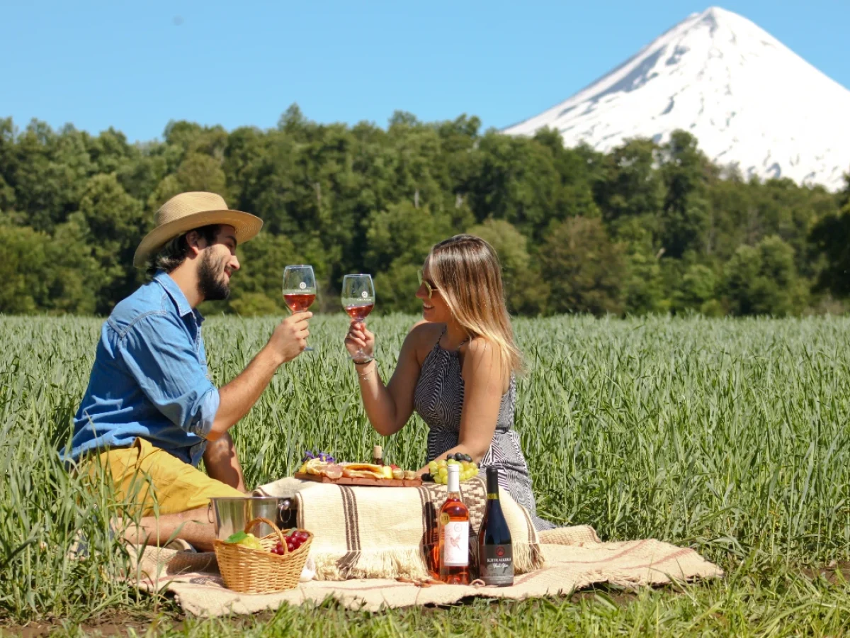 Enoturismo en el Valle de Osorno