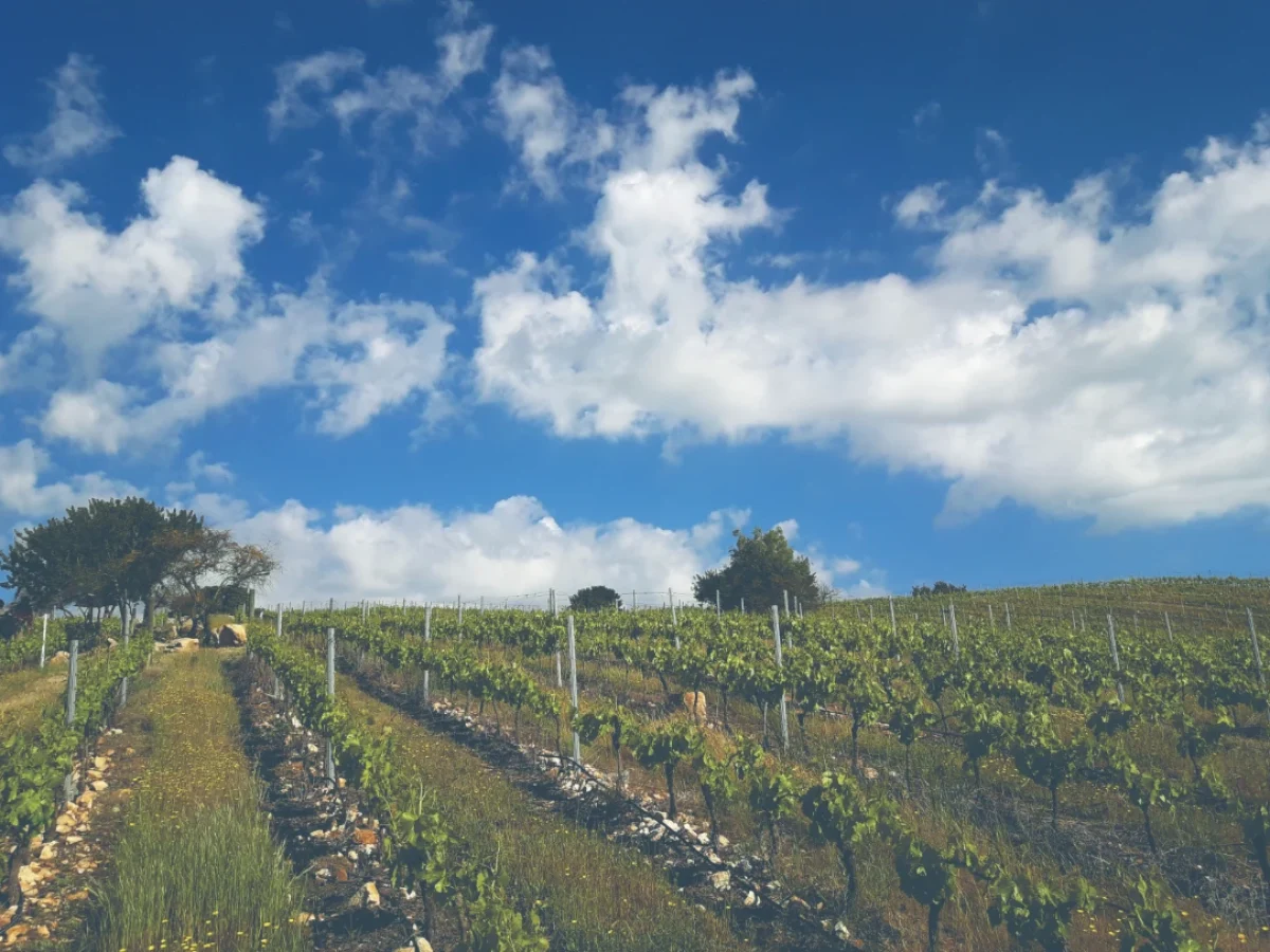 Valle de Leyda