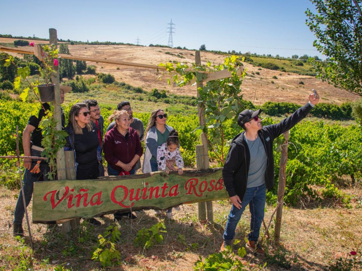 Viña Quinta Rosa, Yumbel, Valle del Bíobio
