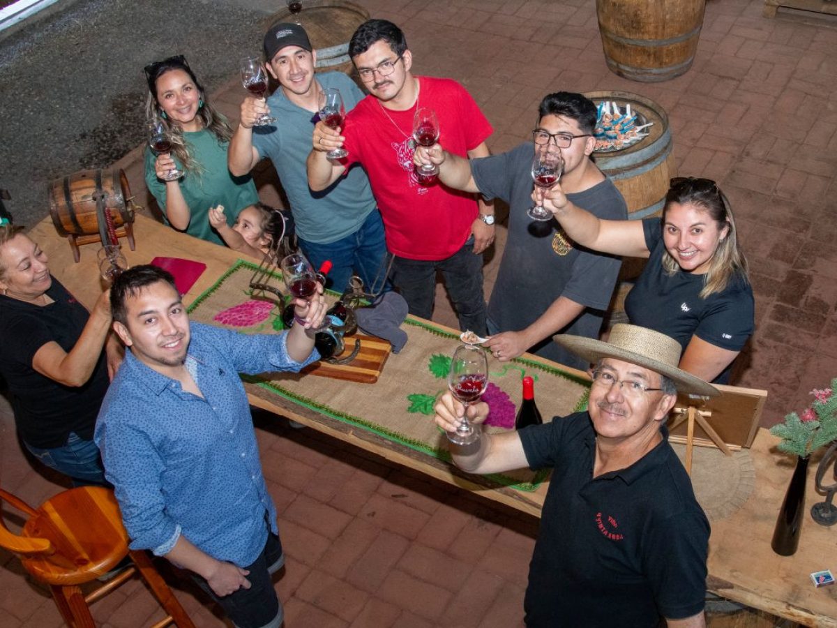 Degustación de Vinos en Viña Quinta Rosa