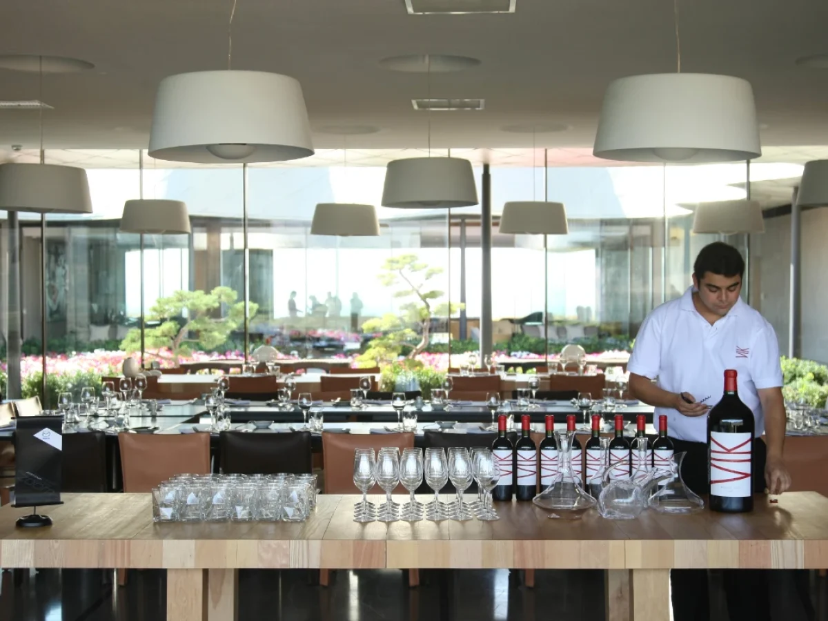 Viña VIK, Valle del Cachapoal