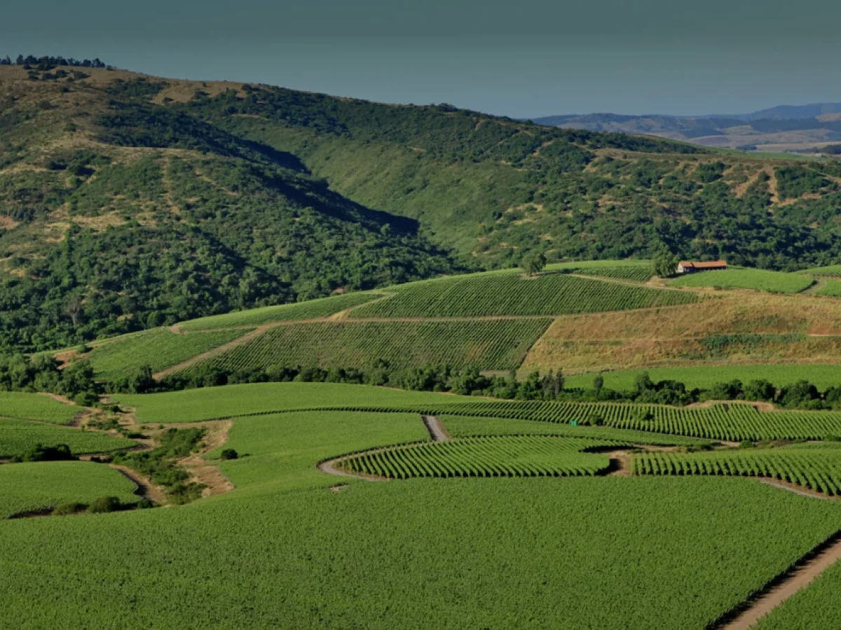 Portada VSPT Cachapoal