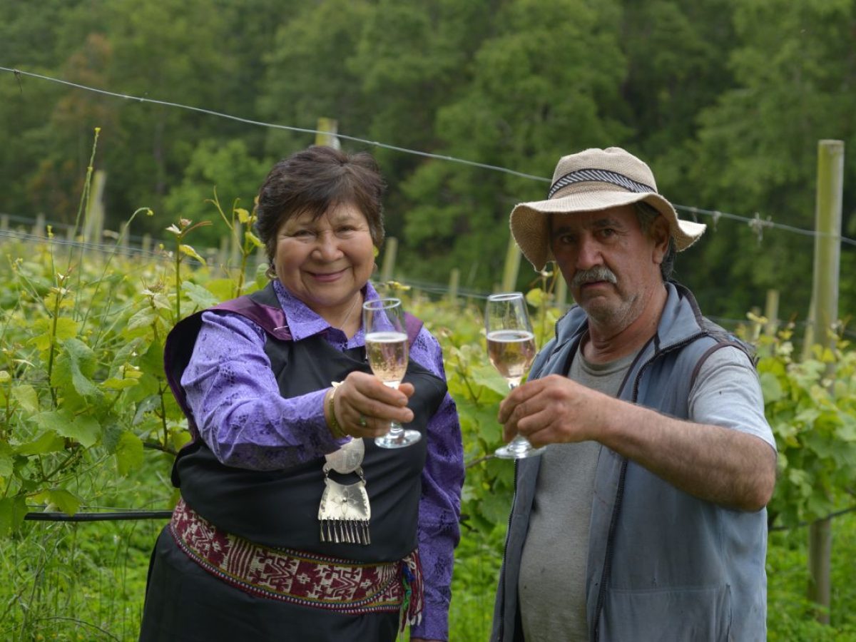 Viña Huampuhue, Valle del Cautín