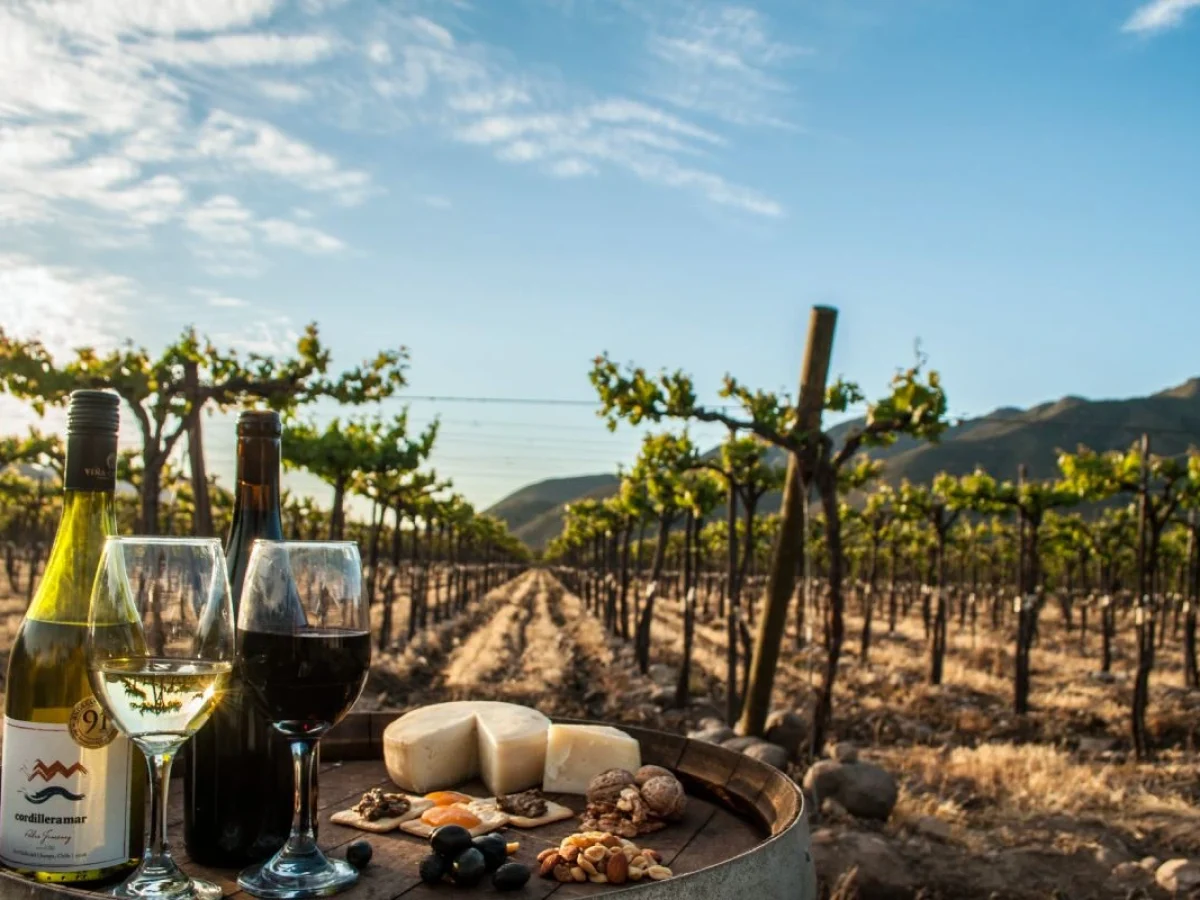 Enoturismo en el Valle del Choapa