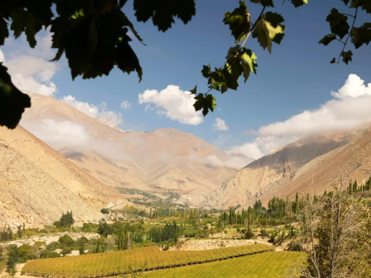 Valle del Elqui