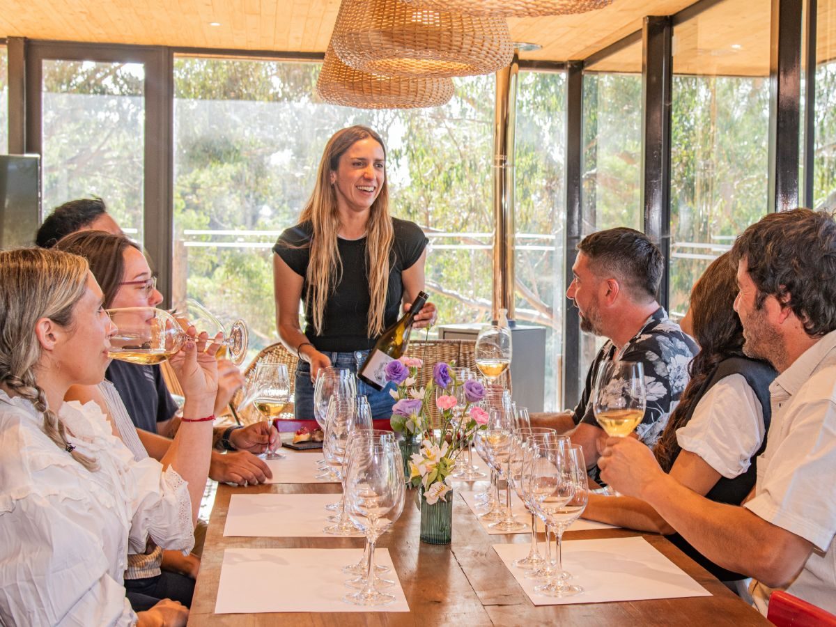 Degustación de Vinos en Viña Prado
