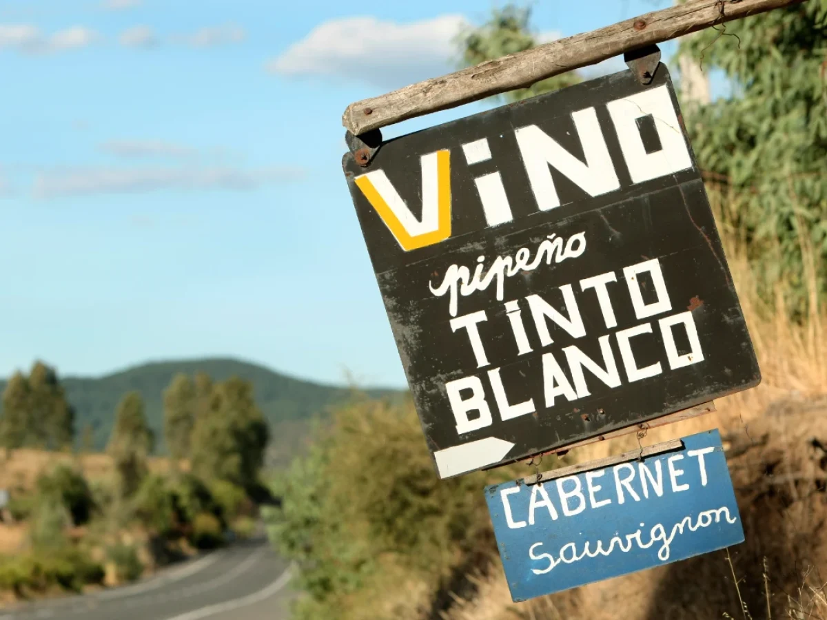 Enoturismo en el Valle del Maule