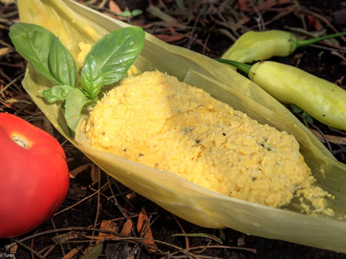 Humita, gastronomía tradicional del Valle del Maule