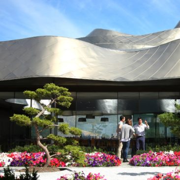 Viña VIK, Valle del Cachapoal