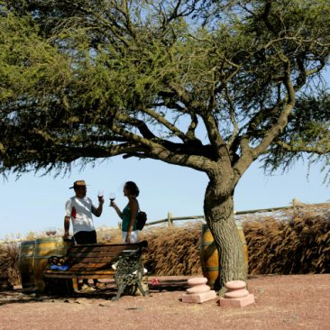 Viña Casas del Bosque, Valle de Casablanca