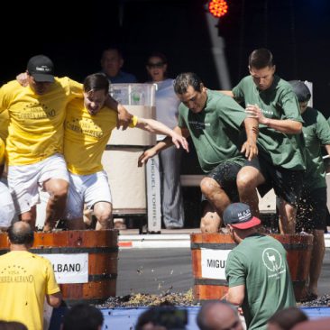 Fiesta de la Vendimia de Curicó