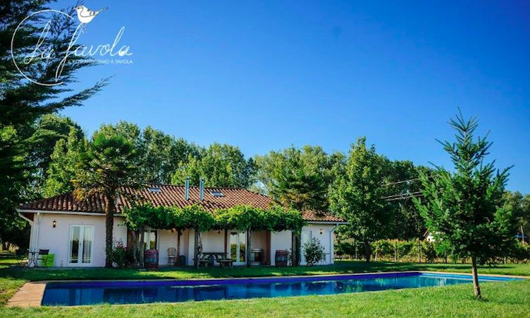 Tour Viña Chillán Itata