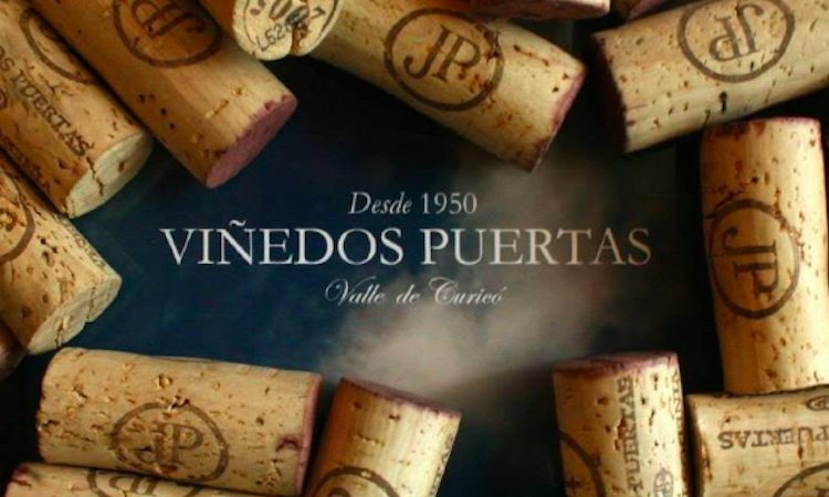 Tour Viñedos Puertas Curicó